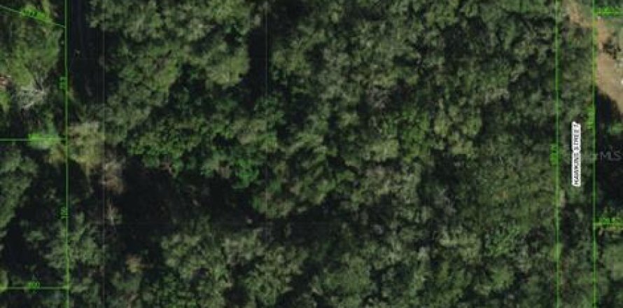Land in Zephyrhills, Florida № 1608776