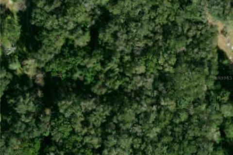 Land in Zephyrhills, Florida № 1608776 - photo 7