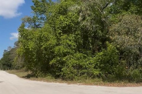 Land in Fort MC Coy, Florida № 2158725 - photo 3