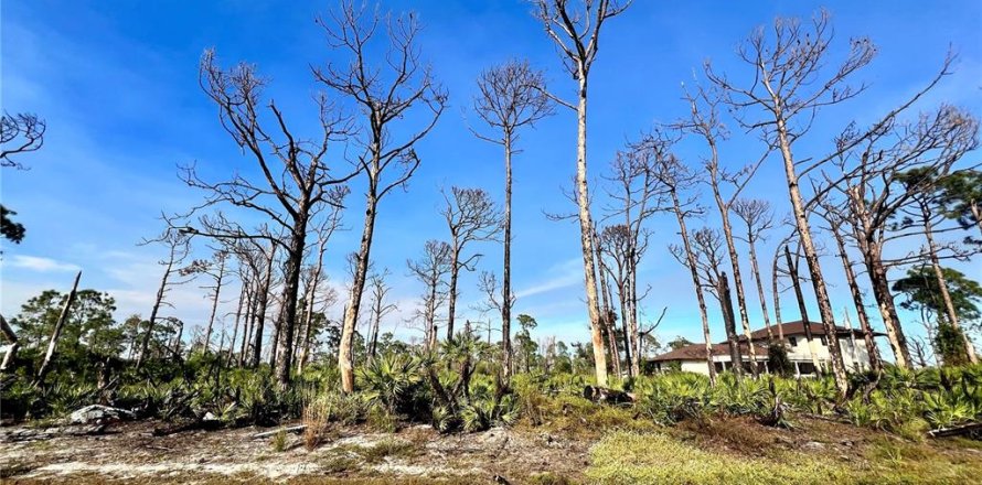 Terreno en Placida, Florida № 2160211