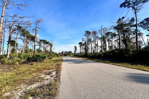 Terreno en venta en Placida, Florida № 2160211 - foto 2