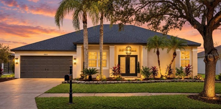 House in Lutz, Florida 5 bedrooms, 287.16 sq.m. № 2411550