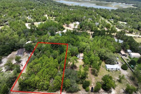 Land in Keystone Heights, Florida № 2345194