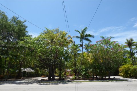 Купить виллу или дом в Саут-Майами, Флорида 4 спальни, 212.84м2, № 1958033 - фото 20