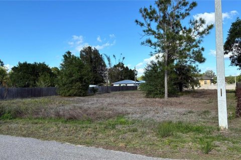 Land in Lehigh Acres, Florida № 2162314