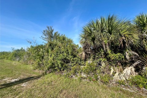 Land in Port Charlotte, Florida № 2165310