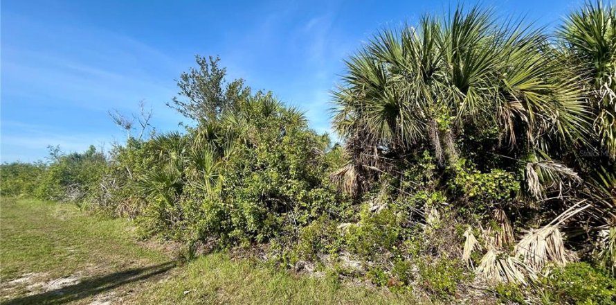 Land in Port Charlotte, Florida № 2165310