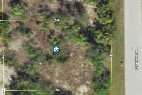 Land in Port Charlotte, Florida № 2165310 - photo 2