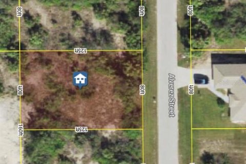 Land in Port Charlotte, Florida № 2165310 - photo 3