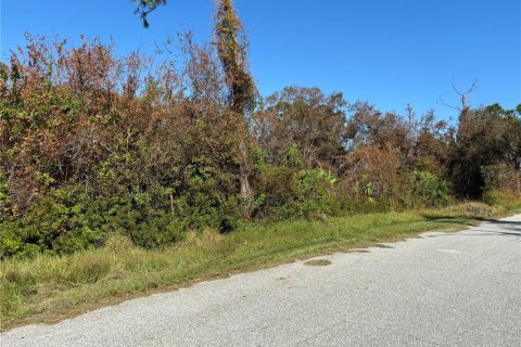 Terreno en venta en Englewood, Florida № 1333732 - foto 2