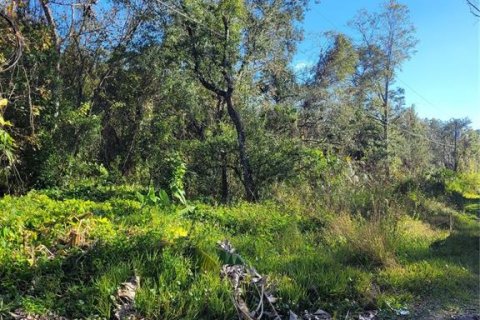 Land in New Port Richey, Florida № 2159874 - photo 7