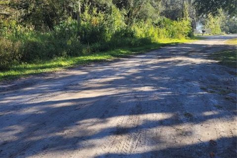 Land in New Port Richey, Florida № 2159874 - photo 2