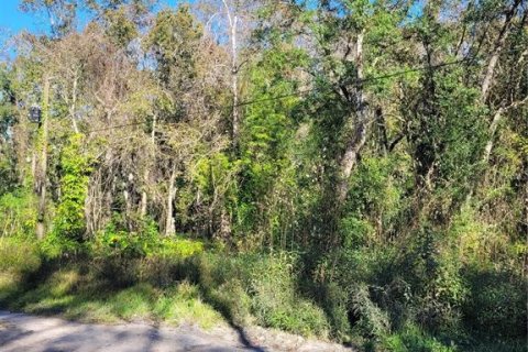 Land in New Port Richey, Florida № 2159874