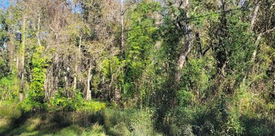 Land in New Port Richey, Florida № 2159874