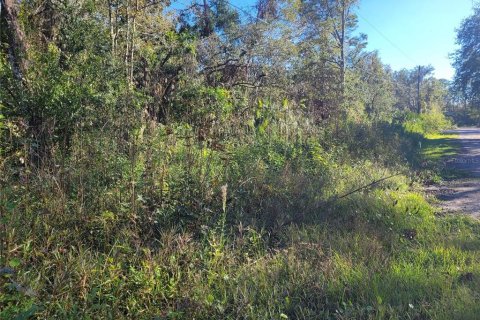 Land in New Port Richey, Florida № 2159874 - photo 4