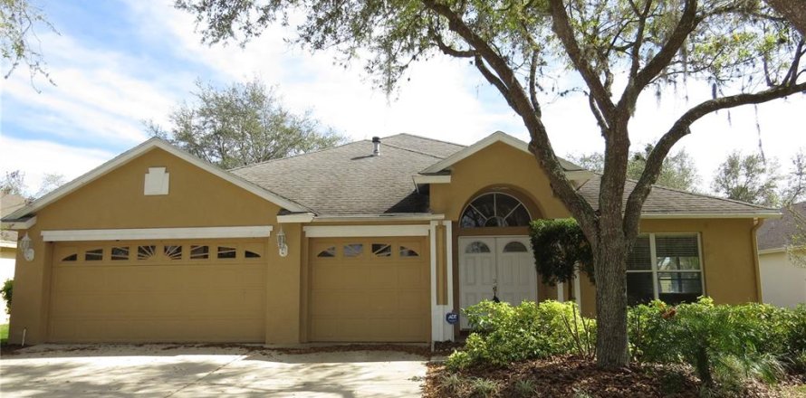 House in Tampa, Florida 4 bedrooms, 244.61 sq.m. № 2217452