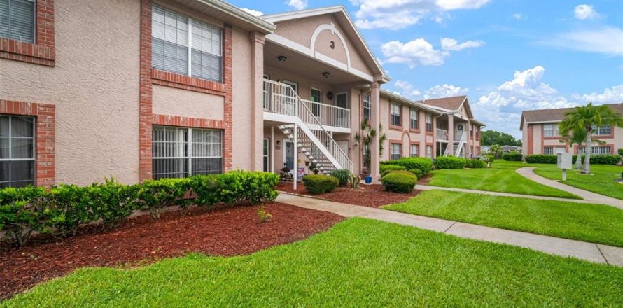 Condo à New Port Richey, Floride, 2 chambres  № 1817427