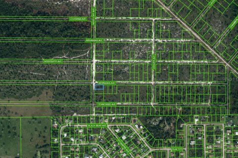 Land in Lake Placid, Florida № 2224167