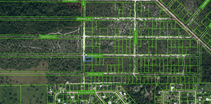 Land in Lake Placid, Florida № 2224167