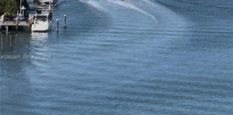 Condo à Miami Beach, Floride, 2 chambres  № 2066400