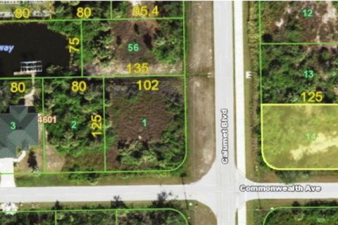 Land in Port Charlotte, Florida № 2159494 - photo 3