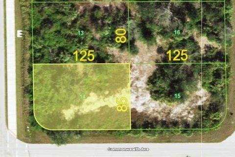 Land in Port Charlotte, Florida № 2159494 - photo 2