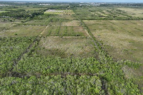 Купить земельный участок в Хомстед, Флорида № 1977376 - фото 15