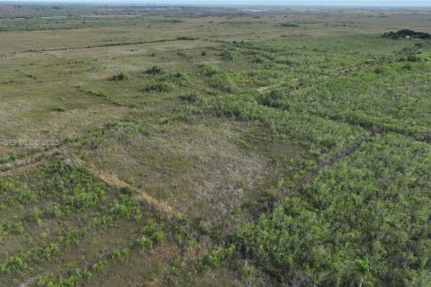 Купить земельный участок в Хомстед, Флорида № 1977376 - фото 18