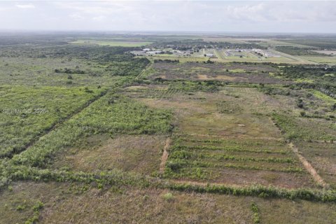 Купить земельный участок в Хомстед, Флорида № 1977376 - фото 26