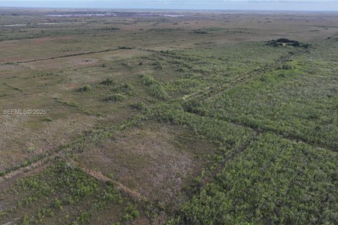 Купить земельный участок в Хомстед, Флорида № 1977376 - фото 7