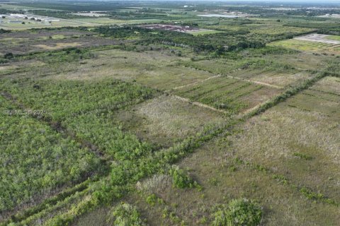 Купить земельный участок в Хомстед, Флорида № 1977376 - фото 13