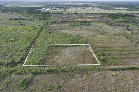 Купить земельный участок в Хомстед, Флорида № 1977376 - фото 12