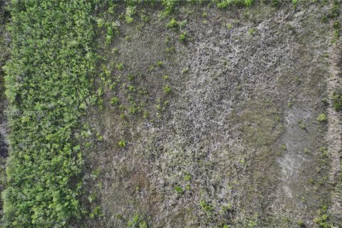 Купить земельный участок в Хомстед, Флорида № 1977376 - фото 22