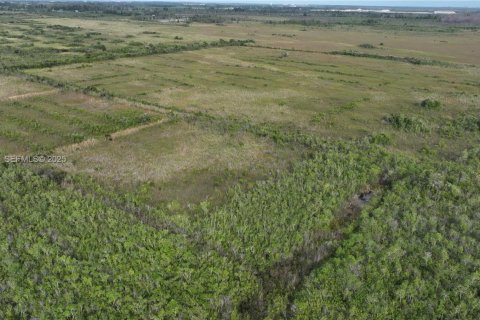 Купить земельный участок в Хомстед, Флорида № 1977376 - фото 16