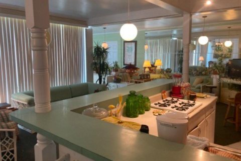 Immobilier commercial à vendre à Fort Meade, Floride: 308.25 m2 № 1792736 - photo 25