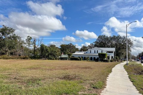 Immobilier commercial à vendre à Fort Meade, Floride: 308.25 m2 № 1792736 - photo 21