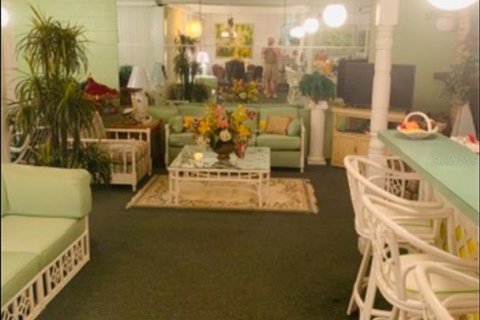 Immobilier commercial à vendre à Fort Meade, Floride: 308.25 m2 № 1792736 - photo 24
