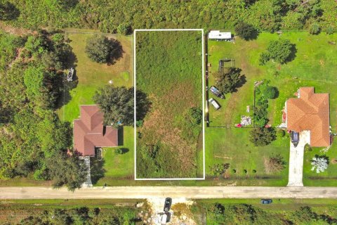 Land in Lehigh Acres, Florida № 2164326 - photo 2