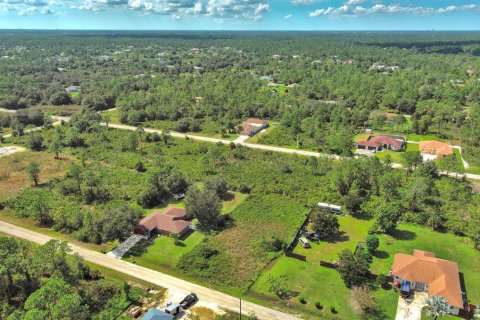 Land in Lehigh Acres, Florida № 2164326 - photo 10