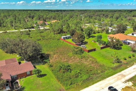Land in Lehigh Acres, Florida № 2164326 - photo 6