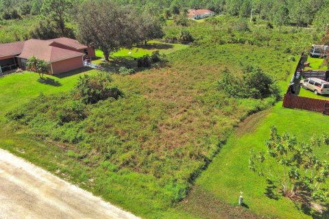 Land in Lehigh Acres, Florida № 2164326 - photo 3