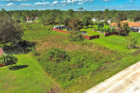 Land in Lehigh Acres, Florida № 2164326 - photo 5