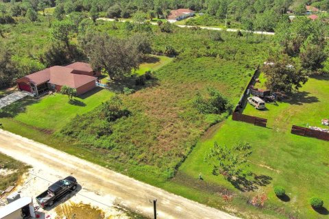 Land in Lehigh Acres, Florida № 2164326 - photo 9