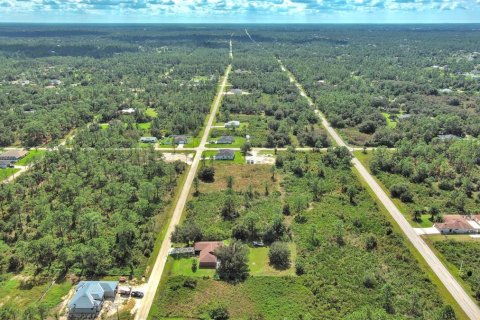 Land in Lehigh Acres, Florida № 2164326 - photo 15