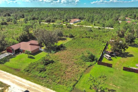 Land in Lehigh Acres, Florida № 2164326 - photo 8