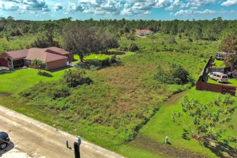 Land in Lehigh Acres, Florida № 2164326