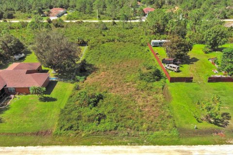 Land in Lehigh Acres, Florida № 2164326 - photo 7