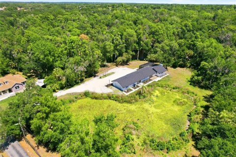 Villa ou maison à louer à Riverview, Floride: 3 chambres, 223.62 m2 № 2399514 - photo 22