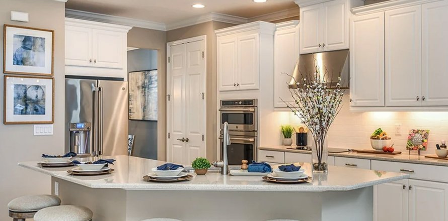 House in RIVER LANDING in Wesley Chapel, Florida 4 bedrooms, 242 sq.m. № 206684