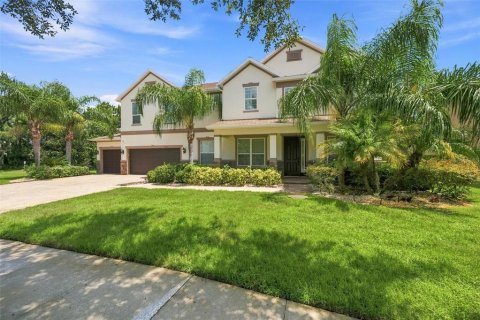 House in Lutz, Florida 5 bedrooms, 398.83 sq.m. № 2310077